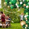 163Pcs Jungle Party Balloons Garland Arch Kit, Gold Green Balloons Dinosaur Party Decoration with Palm Leaves for Safari Animal Wild One Birthday Baby Shower St Patricks Day Party Supplies
